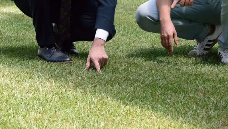 Tartışmalı Stadyum Zemini İçin Son Durum: İki Haftada Hazır Olacak!