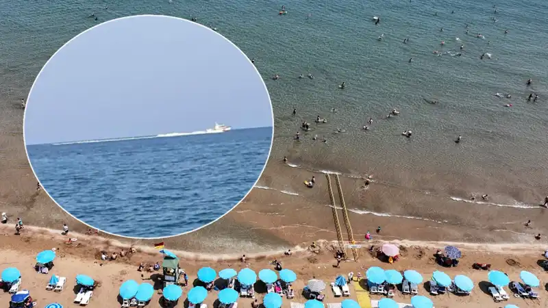 Plajda Köpek Balığı İhbarı: Gerçek Korkunun Arkasındaki Hikaye