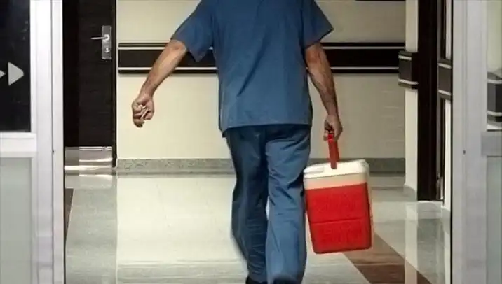 Organ Bağışında Devrim: e-Devlet ve e-Nabız İle Yeni Dönem Başlıyor!