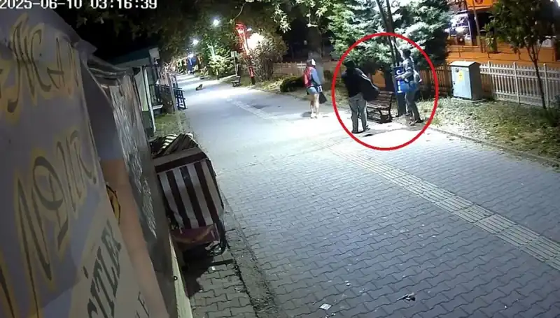 Aydınlatma Direklerindeki LED Işıkları Kötü Amaçlı Sökme Olayı: Şok Edici Zarar