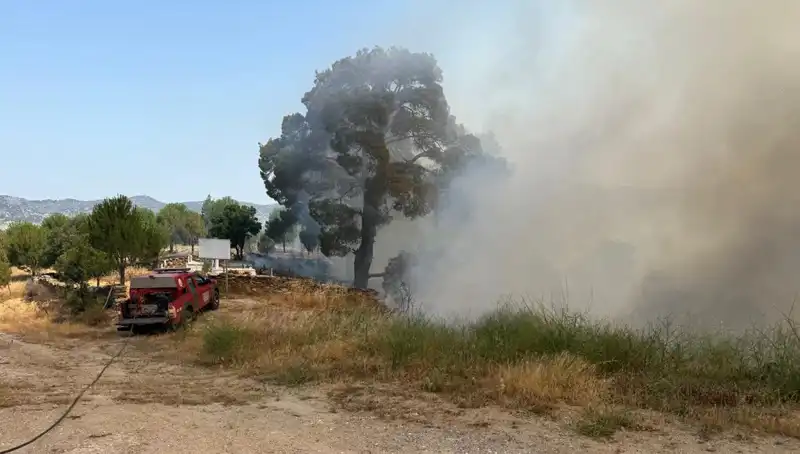 Muğla'da Görülen Orman Yangını, Doğayı Yok Ediyor: Son Durum Ne?